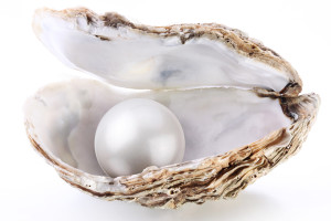 Image of a white pearl in a shell on a white background.