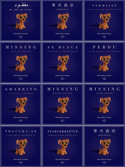 Missing-Precious-Puppy-posters-e1462911013248